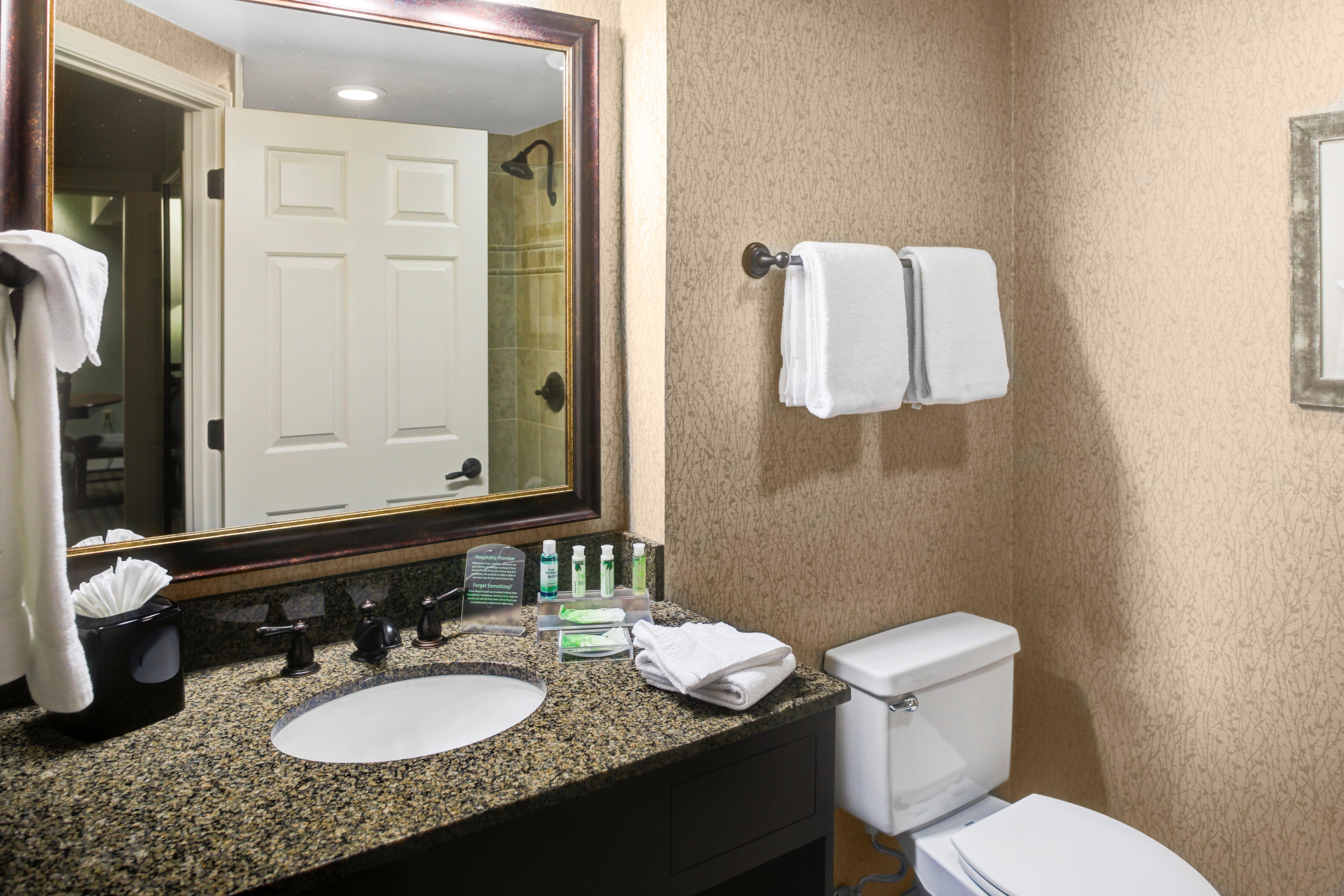 Holiday Inn Express Hotel & Suites Atlanta Buckhead By Ihg Exterior photo